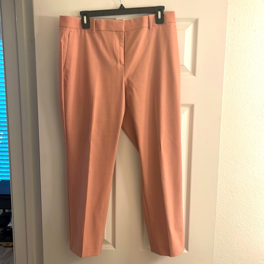 Ann Taylor petite 10